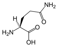 L-glutamin u Keto Diet